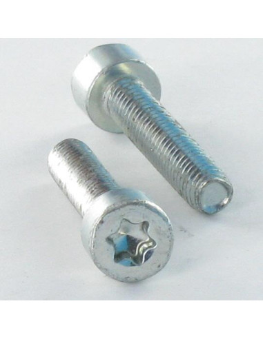 1 x Vis autotaraudeuse Tête cylindrique TC...