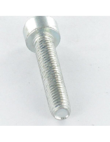 1 x Vis autotaraudeuse Tête cylindrique TC...