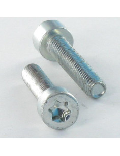 Vis autotaraudeuse Tête cylindrique TC M5X25 TORX T25...