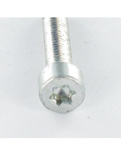 Vis autotaraudeuse Tête cylindrique TC M5X25 TORX T25... 2