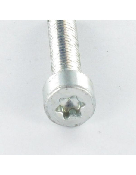 1 x Vis autotaraudeuse Tête cylindrique TC M6X25 TORX T30 Acier zingué