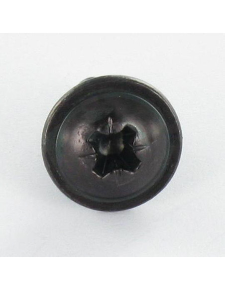 1 x Vis tôle Poelier Pozi 4.8X9.5 Acier zingué noir Sans pointe