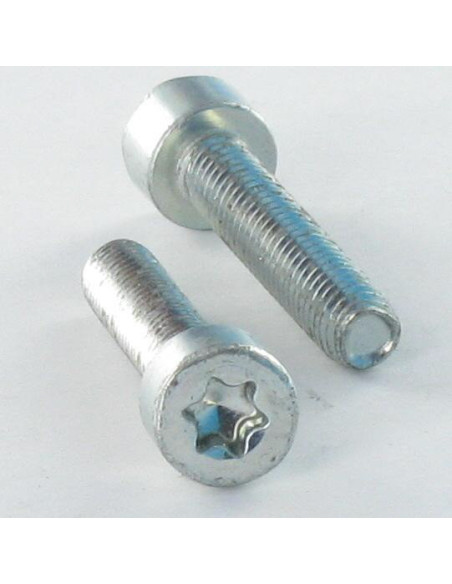 1 x Vis autotaraudeuse Tête cylindrique TC M6X16 TORX T30 Acier zingué