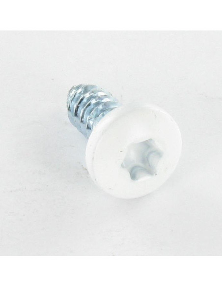 1 x Vis tôle Tête cylindrique TC Cranté 6.3X16 TORX T30 Acier zingué RAL9016 blanc signalisation