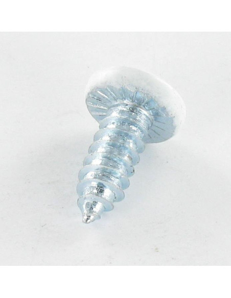 1 x Vis tôle Tête cylindrique TC Cranté 6.3X16 TORX T30 Acier zingué RAL9016 blanc signalisation