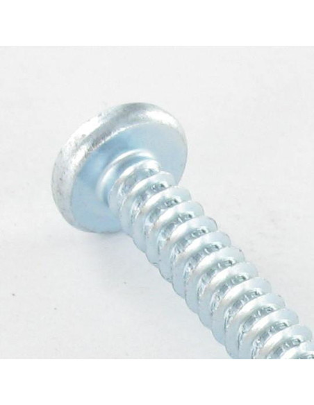 1 x Vis tôle tête cylindrique bombée large Carré 5.5X50 Acier zingué Empreinte carré 3
