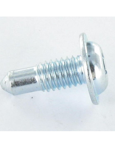 1 x Vis métaux Tête ronde large TORX T30 M6X16...