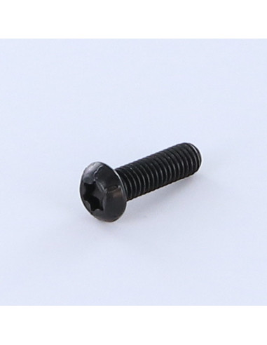 1 x Vis métaux Tête bombée TORX T10 M3X10...