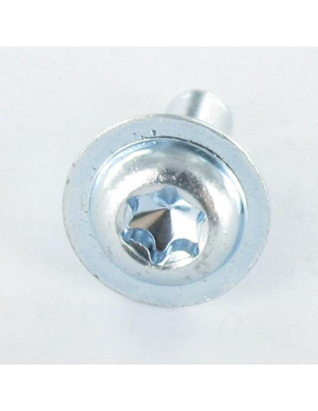 1 x Vis métaux Tête ronde large TORX T30 M6X12 Classe 10.9 Acier zingué
