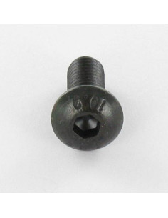 Vis métaux BHC (Tête Bombée Hexagonal creux) M10X60... 2