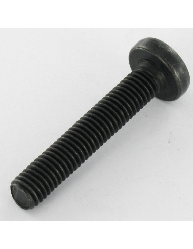 1 x Vis métaux Tête bombée TORX T40 M8X35...