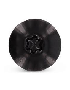 Vis de facade TORX T20 5.5X38 Diamètre de tête: 12.3 Inox... 2