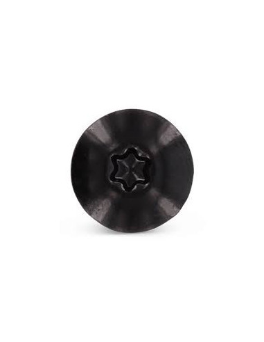 1 x Vis de facade TORX T20 5.5X38 Diamètre de...
