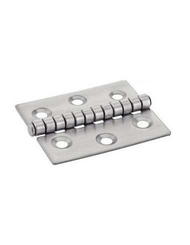 1 x Charnière Type I 6 trous Inox A2 60X80