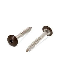 Vis de facade TORX T20 5.5X45 Diamètre de tête: 12.3 Inox...