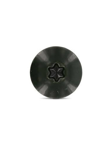 1 x Vis de facade TORX T20 4.8X38 Diamètre de...