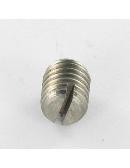 1 x Vis métaux Sans tête Fendue Bout téton Plate M3X6 Inox A2 microvis