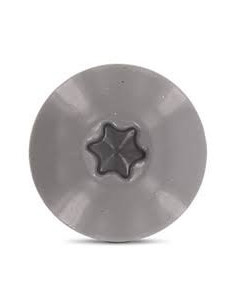 Vis de facade TORX T20 4.8X38 Diamètre de tête: 12.3 Inox... 2