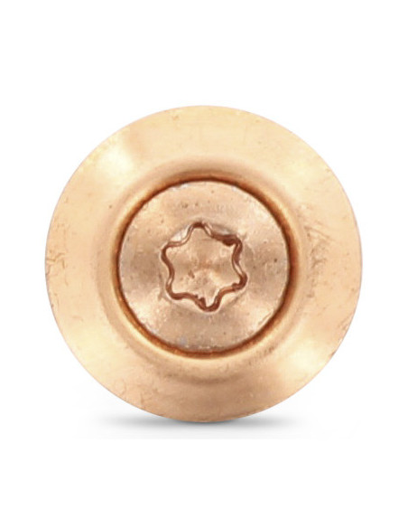1 x Vis faitage Tête fraisée bombée TFB TORX T20 Inox A2 cuivre 4.5X70 Rondelle d'étanchéite EPDM 3P