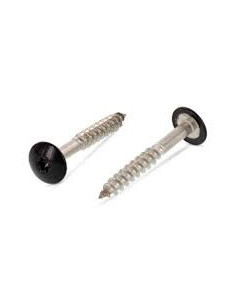 Vis de facade TORX T20 5.5X32 Diamètre de tête: 12.3 Inox...