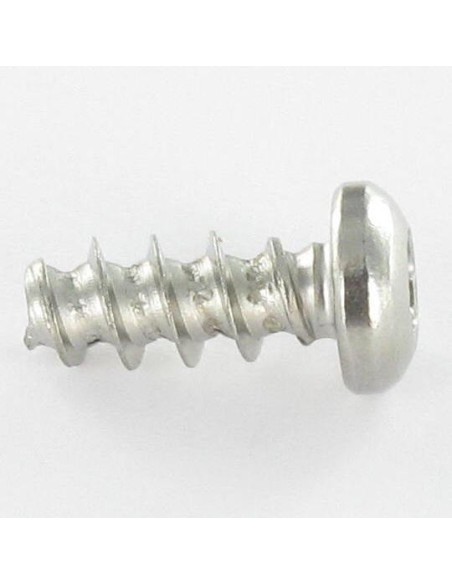 1 x Vis pvc tête cylindrique bombée large 5X12 TORX T20 Inox A2