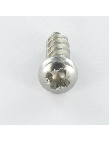 1 x Vis pvc Tête cylindrique bombée TCB Pozi...