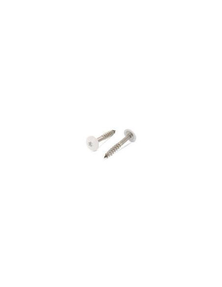 1 x Vis de facade TORX T20 4.8X38 Diamètre de tête: 12.3 Inox A2 RAL1013 blanc perle
