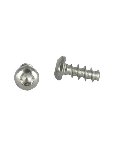 1 x Vis pvc tête cylindrique bombée large 5X30...