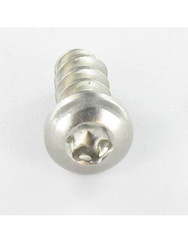 1 x Vis pvc tête cylindrique bombée large 5X30...