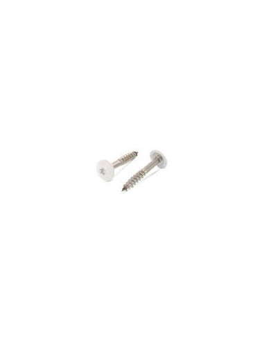 1 x Vis de facade TORX T20 4.8X25 Diamètre de...