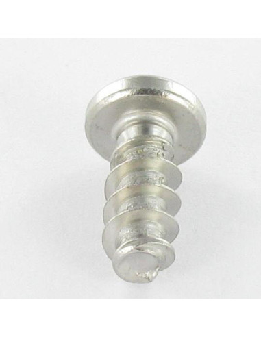 1 x Vis pvc tête cylindrique bombée large 5X14...