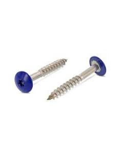 Vis de facade TORX T20 4.8X38 Diamètre de tête: 12.3 Inox...