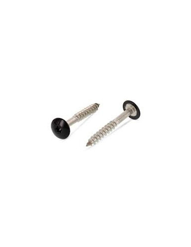 1 x Vis de facade TORX T20 4.8X38 Diamètre de...