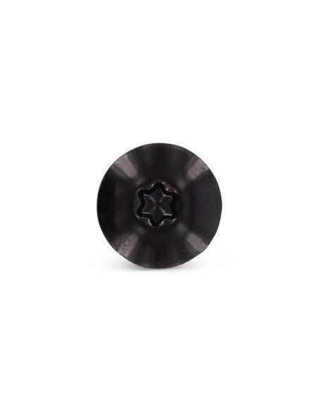 1 x Vis de facade TORX T20 4.8X38 Diamètre de tête: 12.3 Inox A2 RAL9005 noir foncé