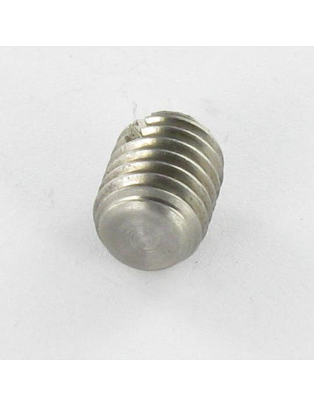 1 x Vis métaux Sans tête Fendue Bout téton Plate M2X5 Inox A2 microvis