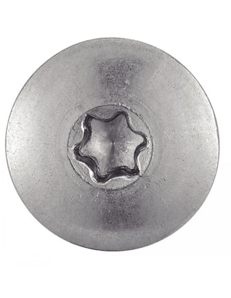 1 x Vis de facade TORX T20 4.8X60 Diamètre de tête: 12.3 Inox A2