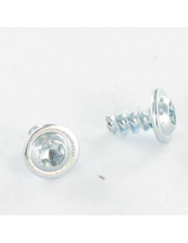 1 x Vis pvc Inox A2 Poelier 3X8 TORX T10 microvis