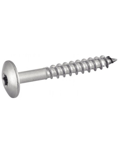 1 x Vis de facade TORX T20 5.5X35 Diamètre de tête: 12.3 Inox A2