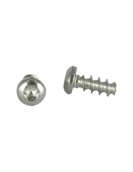 1 x Vis pvc tête cylindrique bombée large 4X14 TORX T20 Inox A2