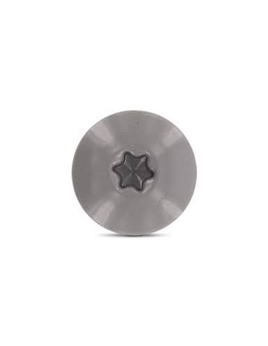 1 x Vis de facade TORX T20 5.5X32 Diamètre de...