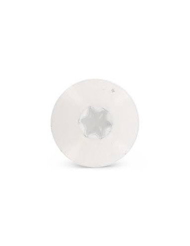 1 x Vis de facade TORX T20 4.8X32 Diamètre de...