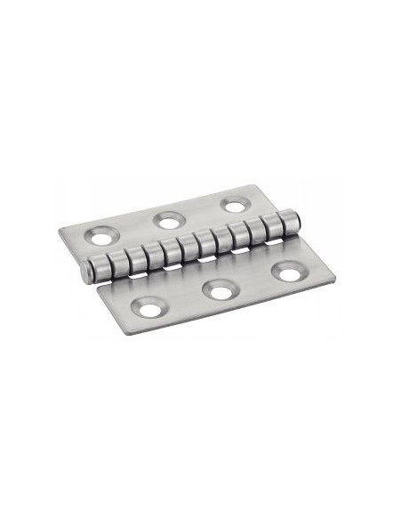 1 x Charnière Type Fendue 6 trous Inox A2 50X60