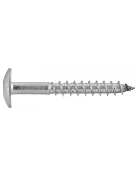 1 x Vis de facade TORX T20 5.5X38 Diamètre de tête: 12.3 Inox A2