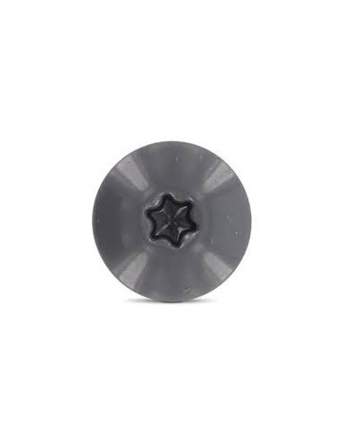 1 x Vis de facade TORX T20 4.8X25 Diamètre de...