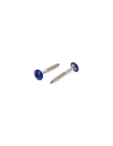 1 x Vis de facade TORX T20 4.8X25 Diamètre de tête: 12.3 Inox A2 RAL5002