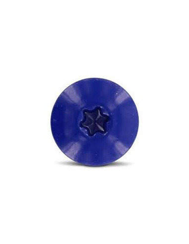 1 x Vis de facade TORX T20 4.8X25 Diamètre de...