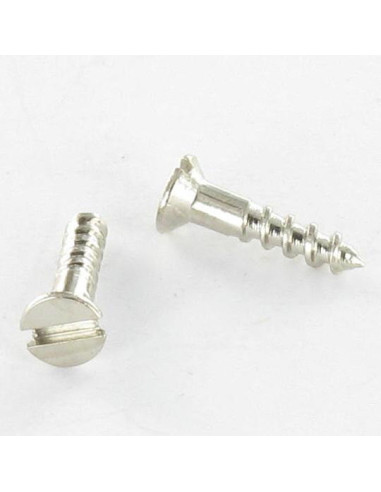 1 x Vis bois Tête fraisée Fendue 2X10 Acier...