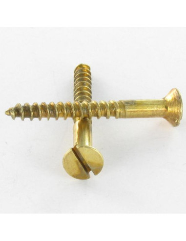 1 x Vis bois Tête fraisée Fendue 2.5X10 Acier...