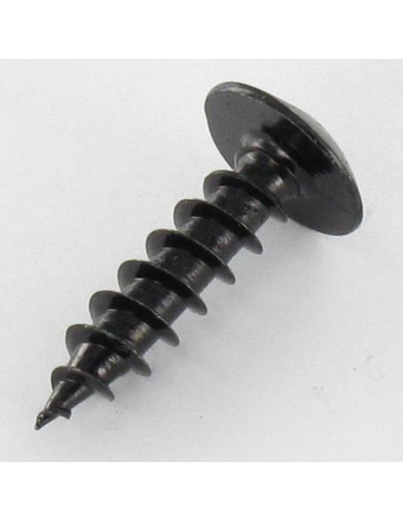 1 x Vis bois Inviolable One way Tête cylindrique large TCL 5X20 Acier zingué noir