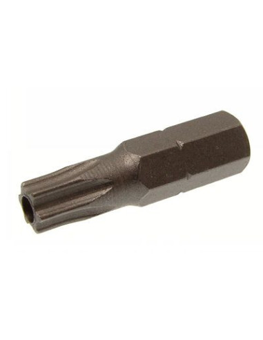 1 x Embout Inviolable TORX T25